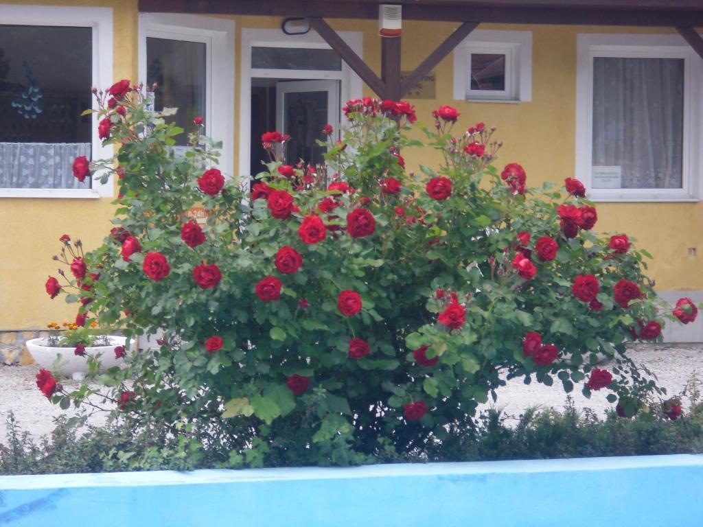 Tulipan Bungalow Camping Resort 기에네스디아스 외부 사진